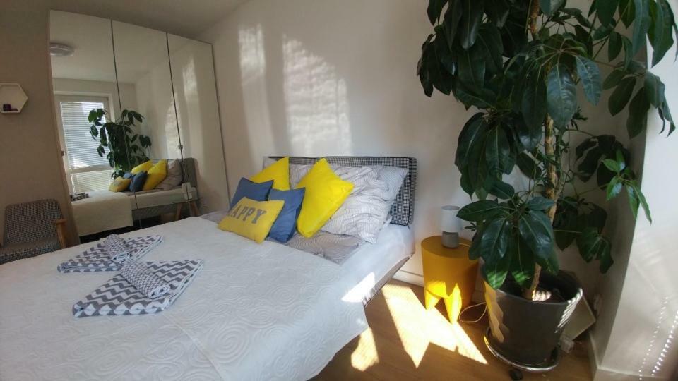 Apartament Centrum Августув Экстерьер фото